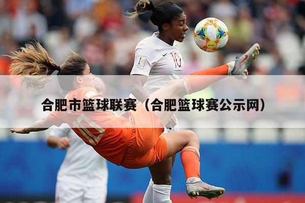 合肥市篮球联赛（合肥篮球赛公示网）