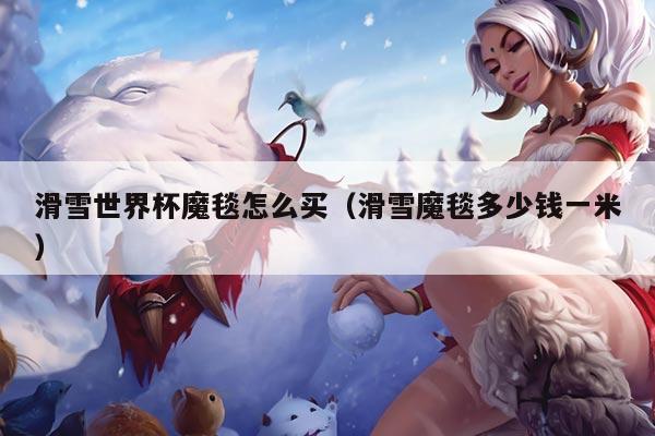 滑雪世界杯魔毯怎么买（滑雪魔毯多少钱一米）