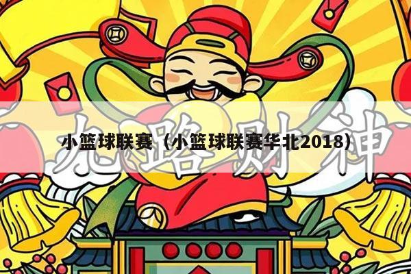 小篮球联赛（小篮球联赛华北2018）