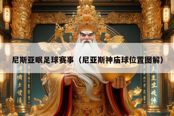 尼斯亚眠足球赛事（尼亚斯神庙球位置图解）